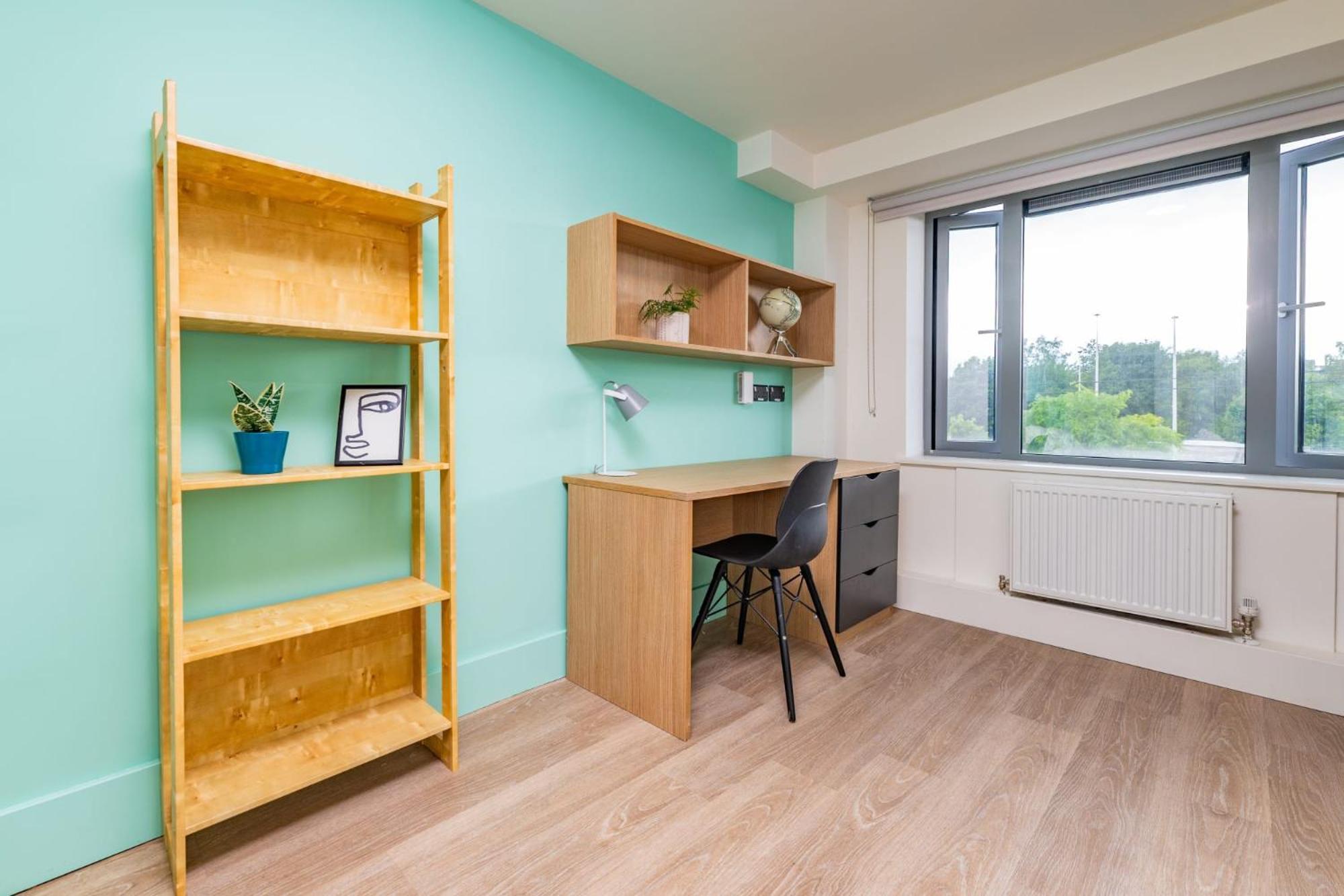 Refurbished Ensuite With Shared Kitchen At Montrose In Apartment Dublin